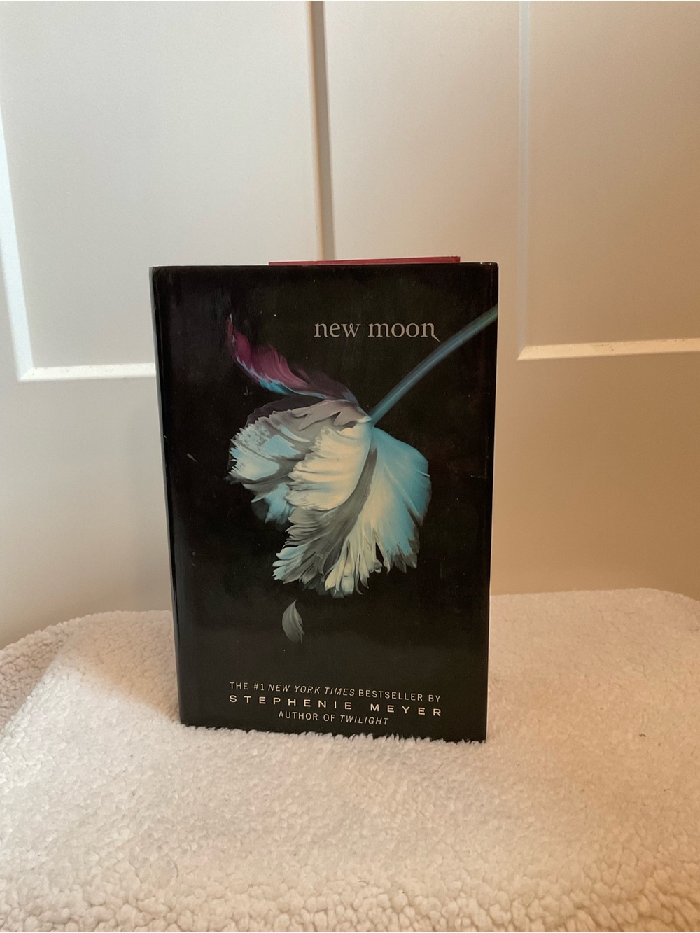 New Moon Hardback - Picture 2 of 2